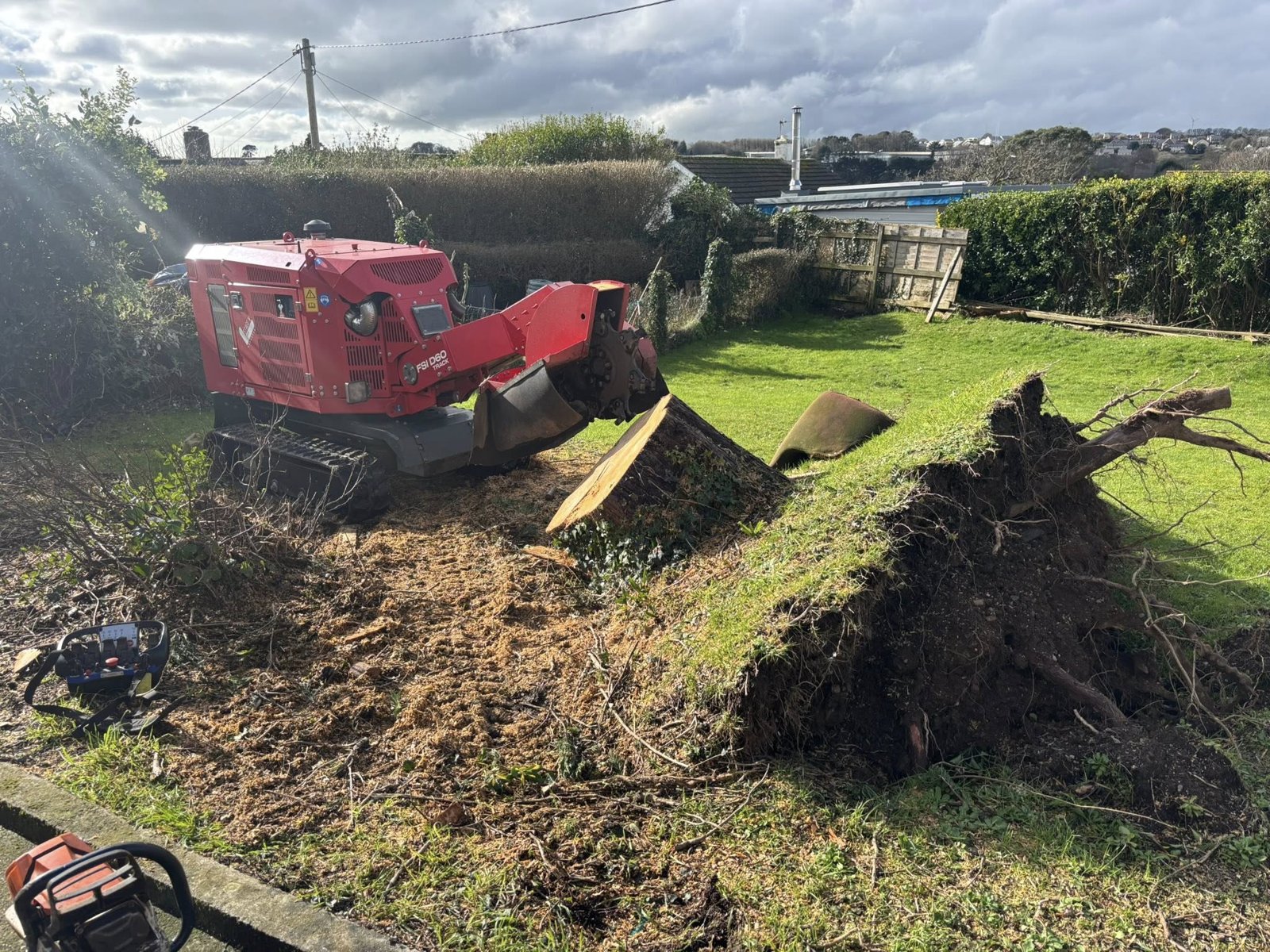 Tree surgery in Cornwall